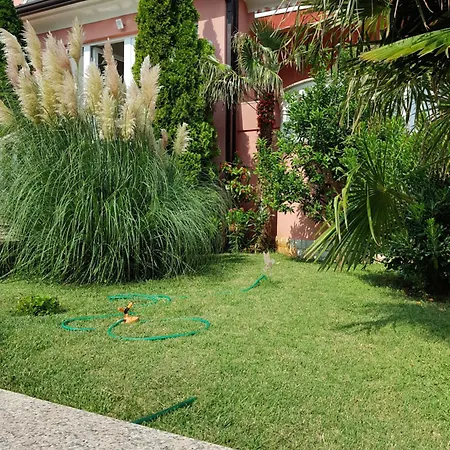 Affittacamere Apartments&rooms Chiara 3*