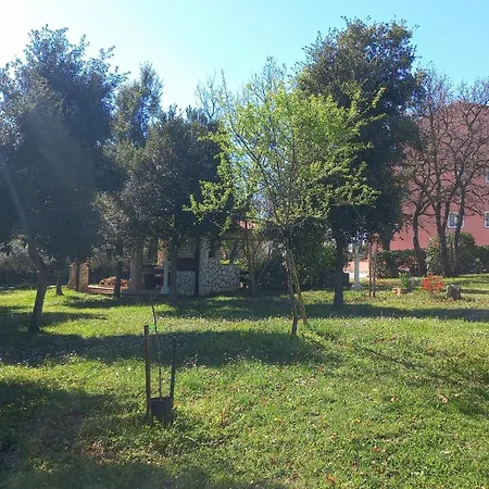 Apartments&rooms Chiara 3*
