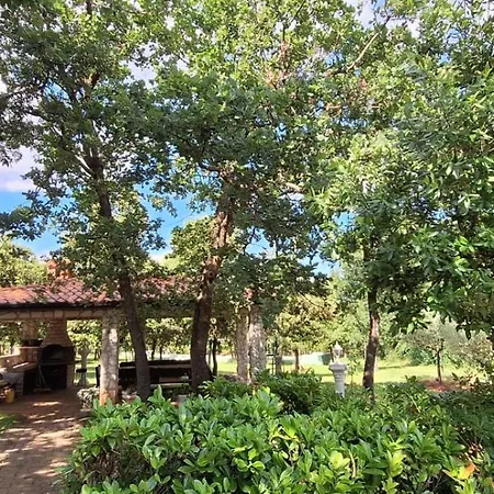 Apartments&rooms Chiara Affittacamere 3*
